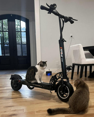 Electric Scooter with Seat